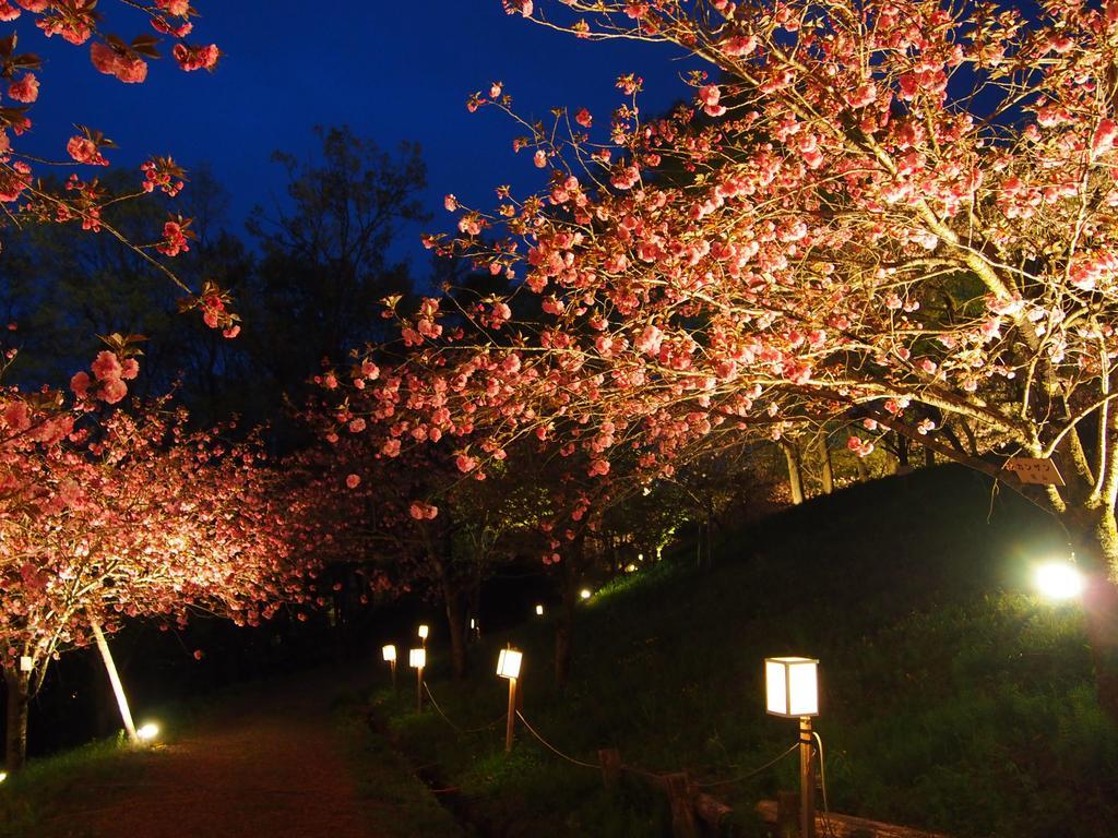 Inn Yokotei Nagatoro  Exterior foto